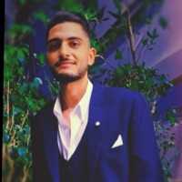 Walid Salah