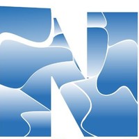 Netsol Infosec