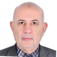 Dia Saleh