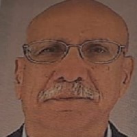 Lionel Perl