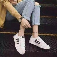 王学朋