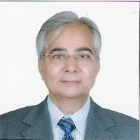 Ramesh Kapur
