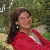 Vera Lucia Bender