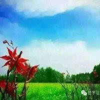 王拖平