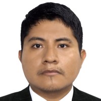 joan danelli mamani roque