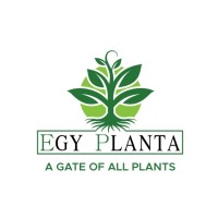 International Marketing