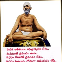 Kedar Adapa