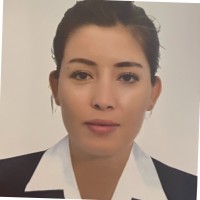 Elif Nur Zorlu