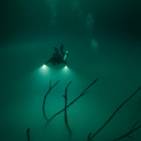 Zan Hammerton  (PhD)