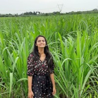 Nilofer M