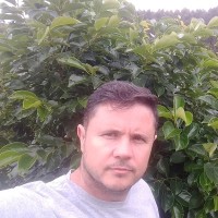 Fabio Viveiros