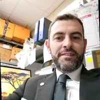 Nicola D'Orazio