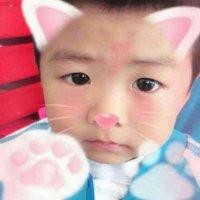 陶慧敏