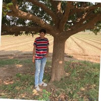 Meet Pandit