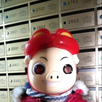 张爱华