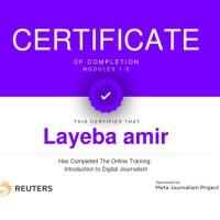 Layeba Amir