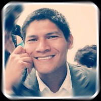 luis felipe parra anchilure