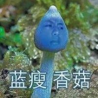 任茂萍