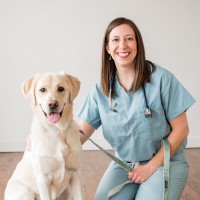 Samantha Vitale, DVM, MS, DACVIM (Neurology)