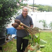 Isileli Tupou Kongaika