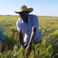 Megersa Debela Benti