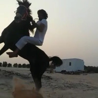 ‏Rashed Alanzi
