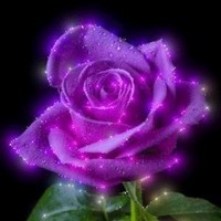 Елена Труфанова