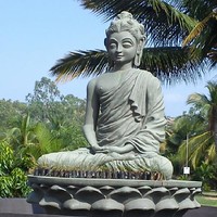 Vidya Janu