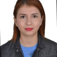 Dilara Hazır