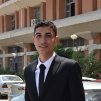 Mohamed A. Hashem