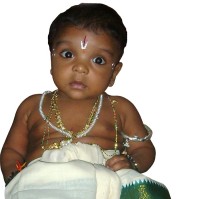 ramakrishna ravulapalli