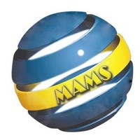 MAMS HR SOLUTION PVT LTD