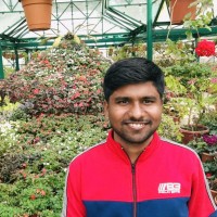 Shankar Raddy