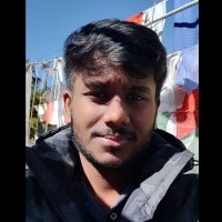 Dhileepan Thangamanimaran
