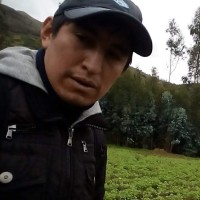 ROBERTH TAMAYO CORONEL
