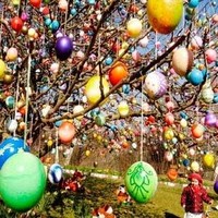 Marie PAUCHARD Checy