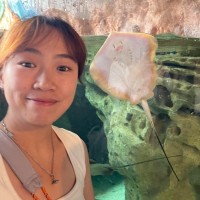 Dora Ding