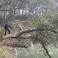Rizwan Shaikh