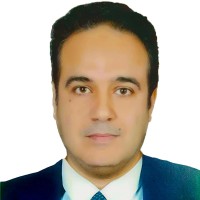 Wael Abdelmohsen, MBA, LSSGB, ITIL, TOT