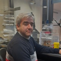 Mario Antonio Vara