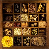 Sadatan Ayurveda Pvt. Ltd.