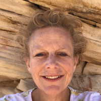 Paula Lewis