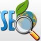 competent seo services