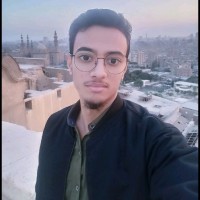 Omar Abdelhakeem