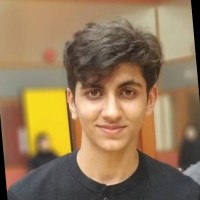 Syed Muhammad Hassan Luqman