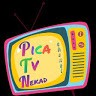 Pica Tv Nekad