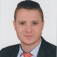 waleed Arfa