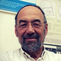 Eisenberg Naftali