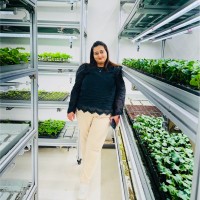 Dr. SUMAN YADAV