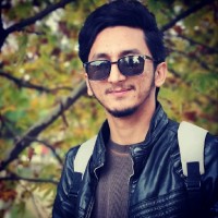 Syed Talha Majid
